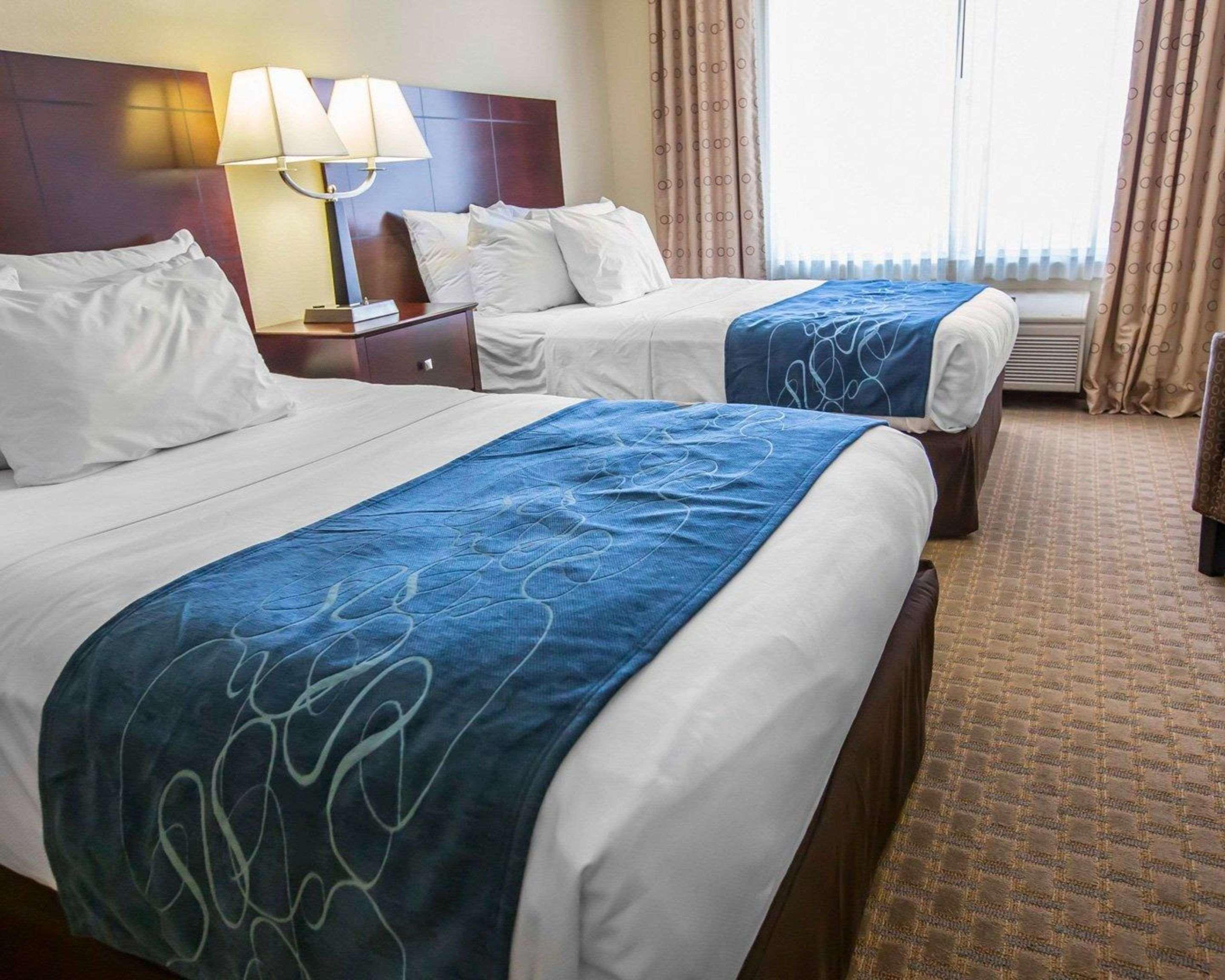 Comfort Suites University Area Notre Dame-South Bend Luaran gambar